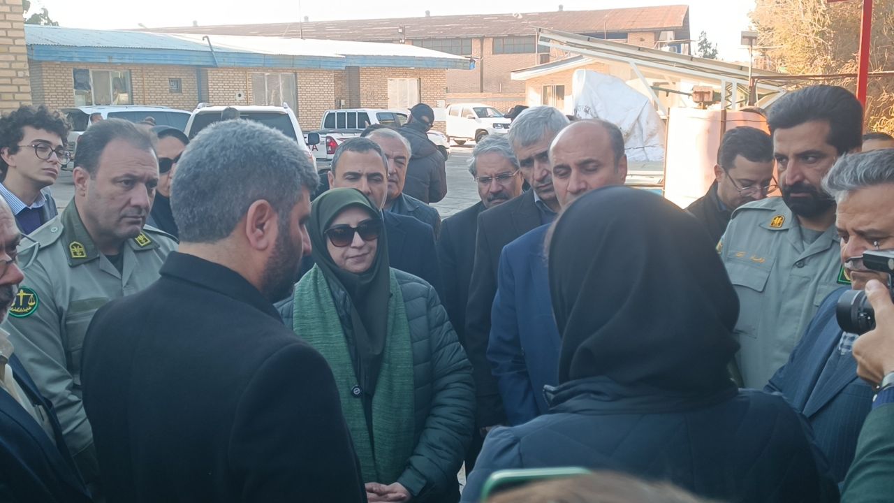 بازدید 3